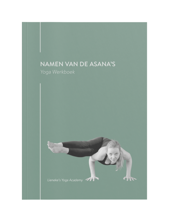 yoga werkboek sanskriet