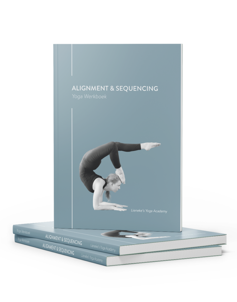 werkboek yoga alignment