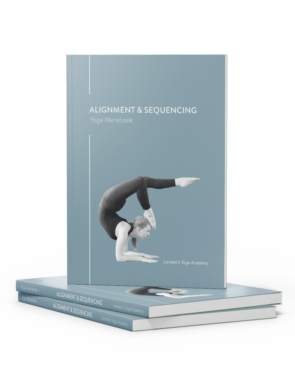 werkboek yoga alignment