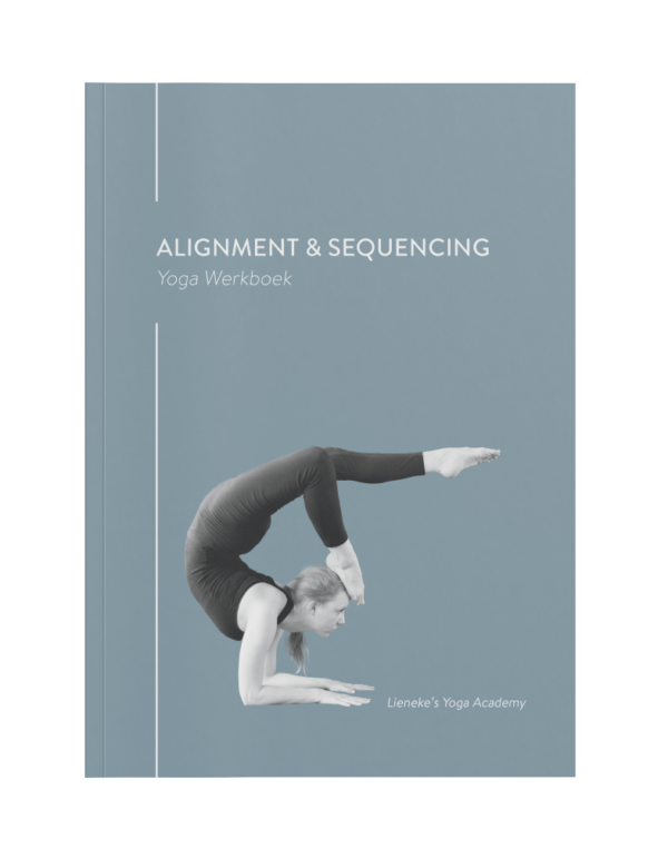 yoga werkboek alignment
