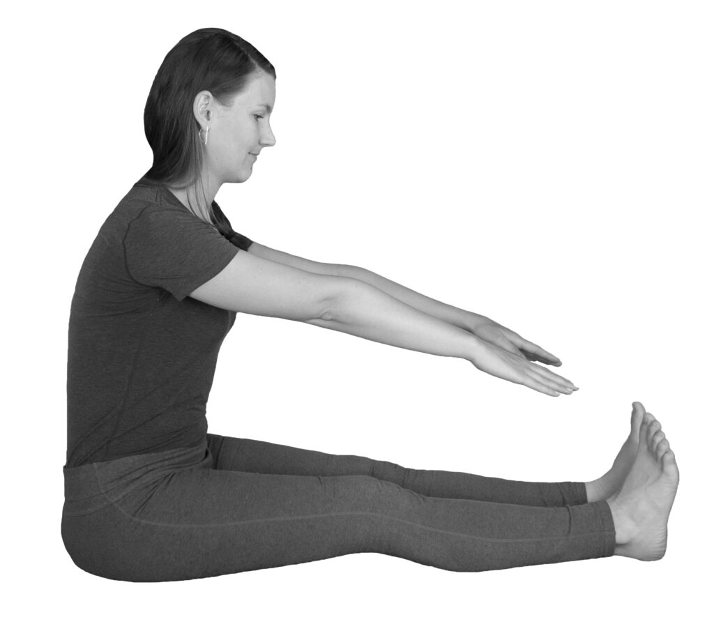 yoga anatomie vooroverbuigen