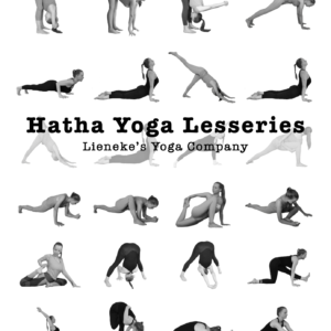 hatha yoga lesseries boek