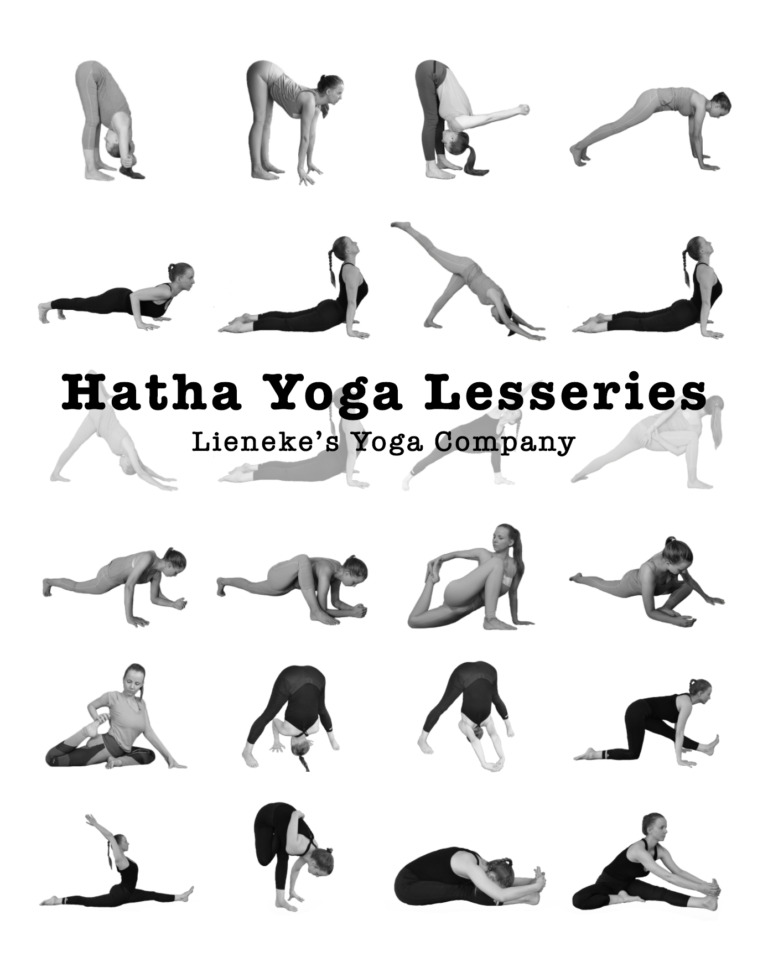 Hatha Yoga Lesseries Boek Lieneke's Yoga Academy