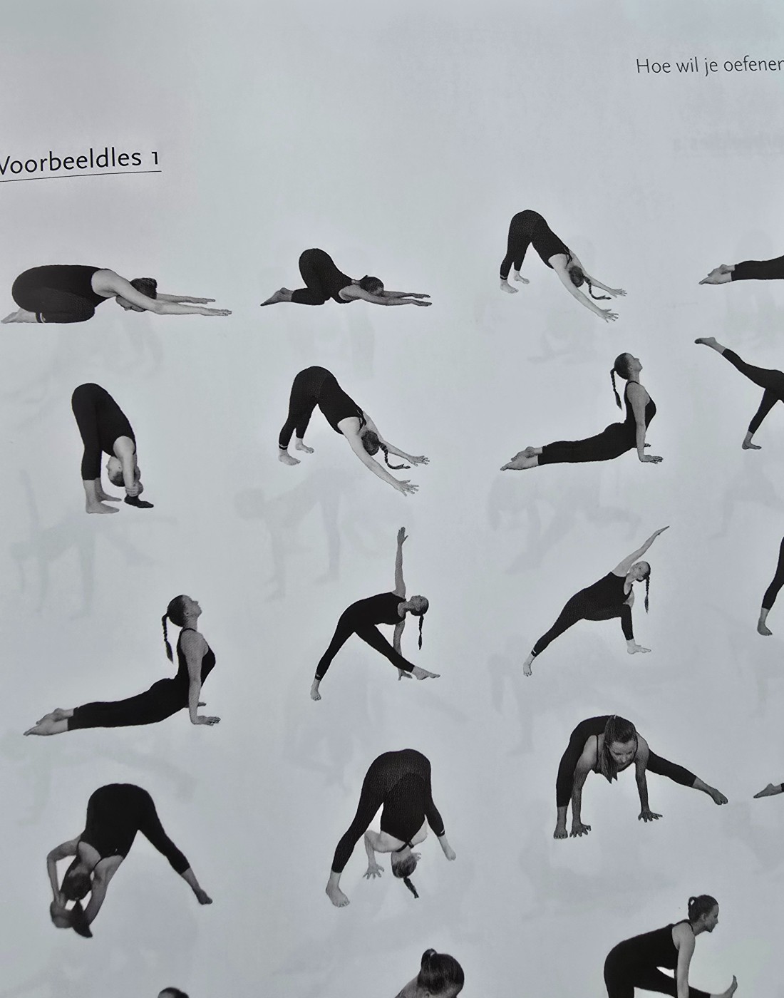 Hatha Yoga Lesseries Boek - Afbeelding 9