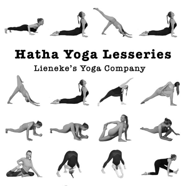 Hatha yoga lesseries boek