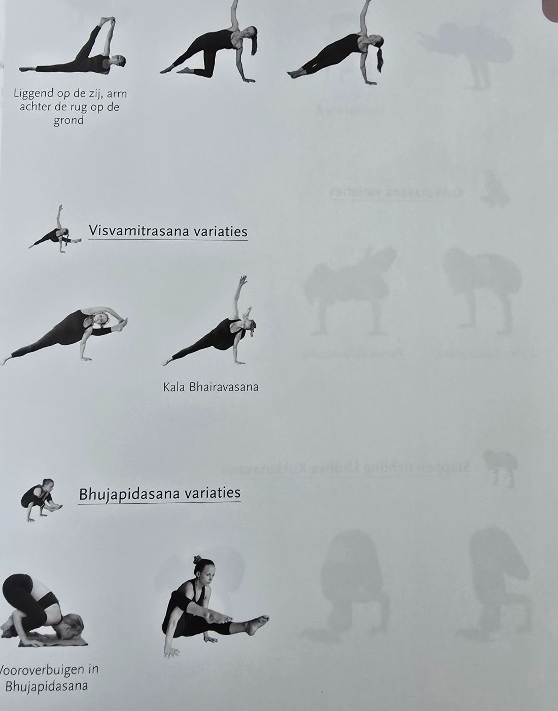 Hatha Yoga Lesseries Boek - Afbeelding 10