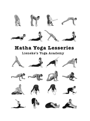 yoga boek lesseries