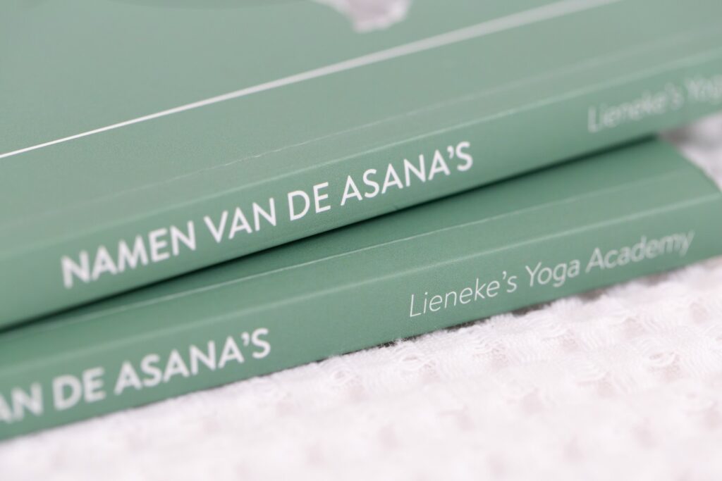 yoga werkboek namen van de asana's