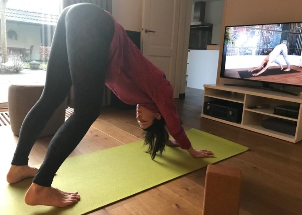 yoga asana program