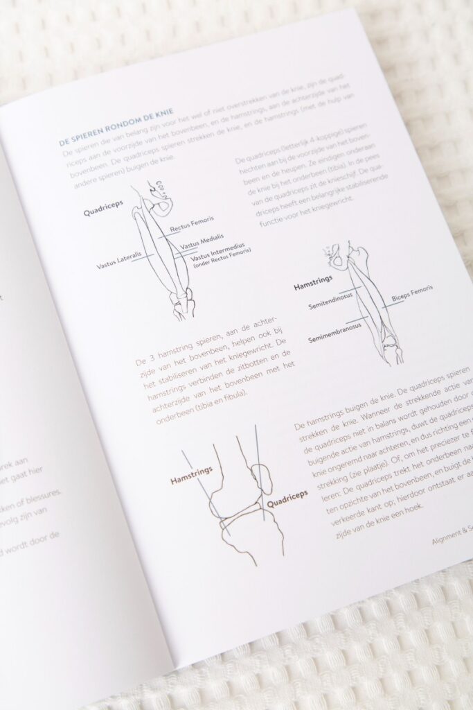 yoga alignment anatomie werkboek