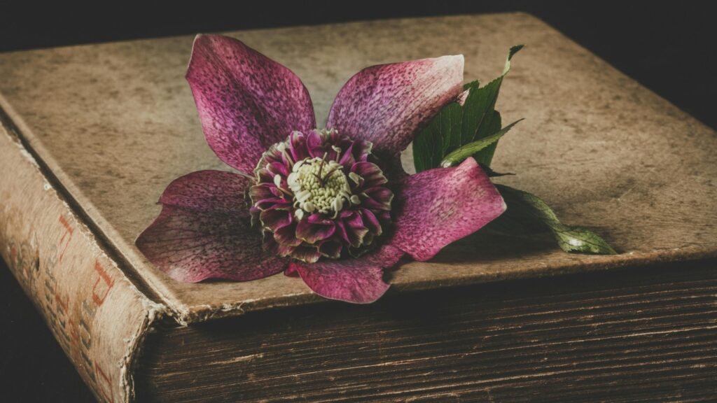 yoga sutra's van patanjali