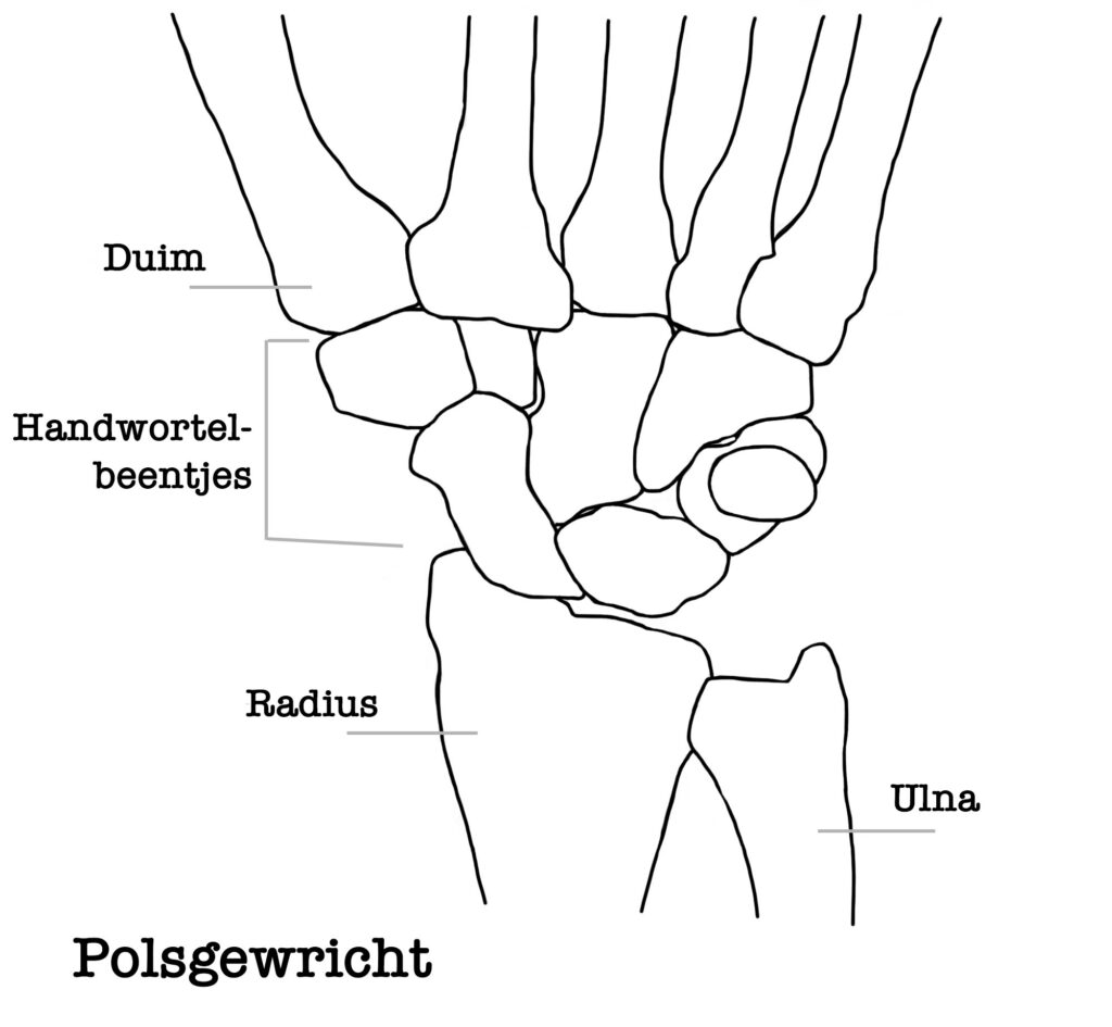 polsgewricht yoga