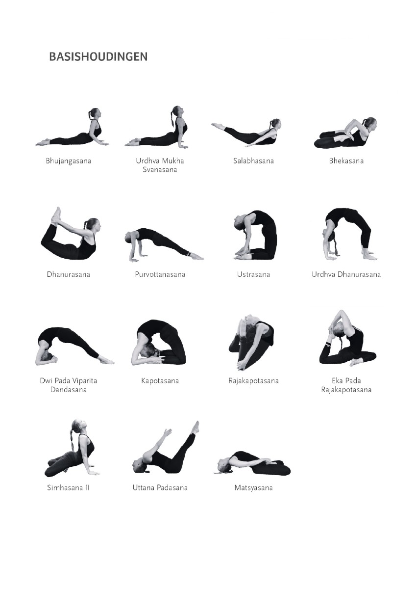 Hatha Yoga Lesseries Boek - Afbeelding 2