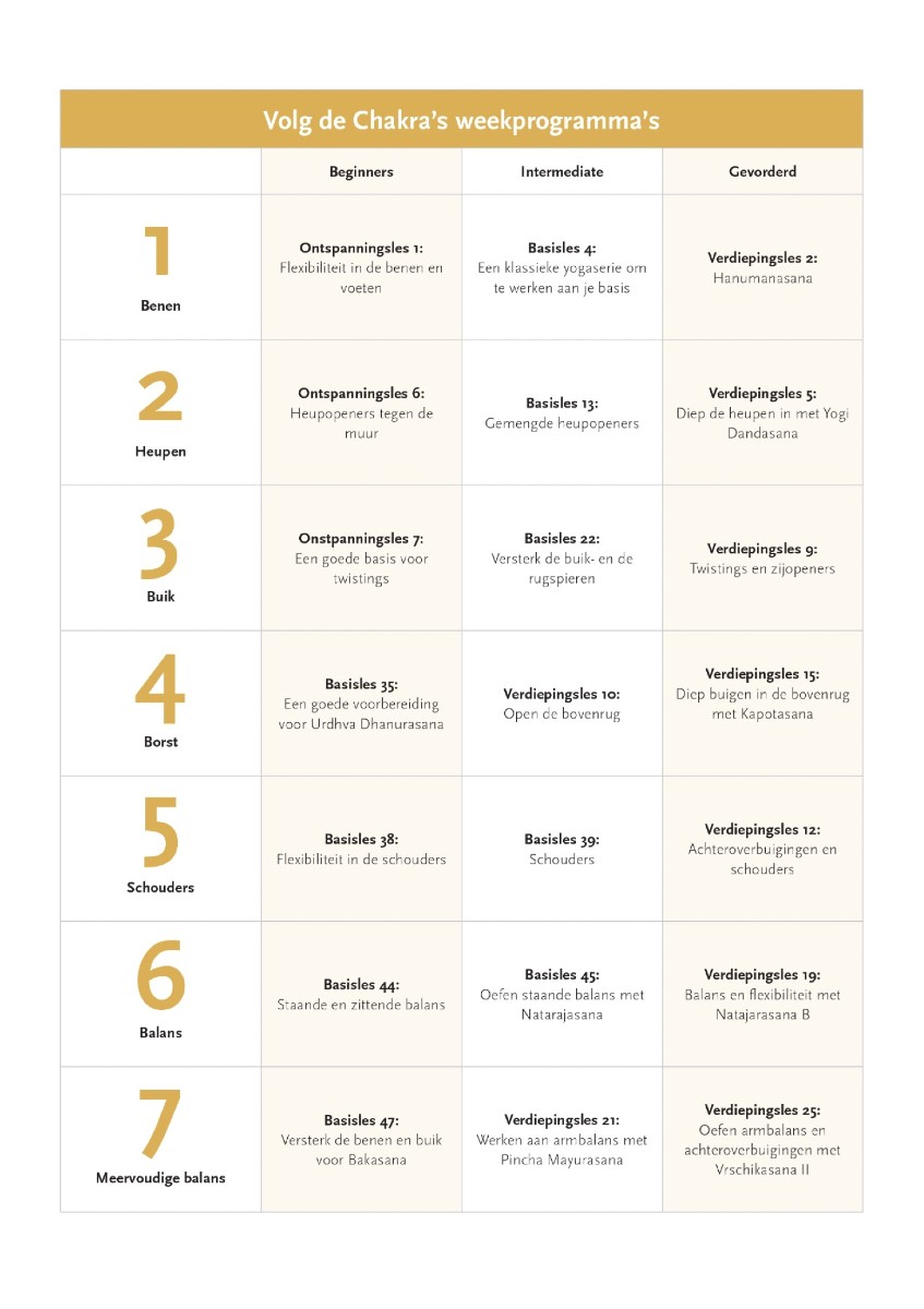 hatha yoga lesseries boek